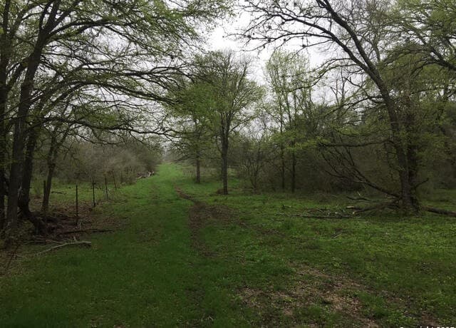 rental at TBD County Road 2410 in Moore, TX — photo 3