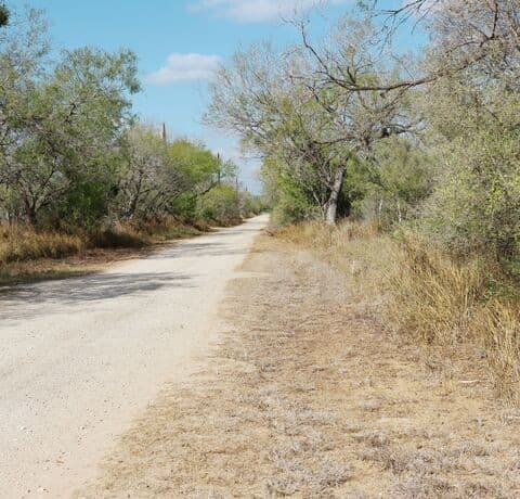 Home for sale at #4425 Avenue M in Christine, TX — photo 4