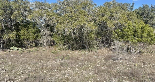 rental at 102 S John Bird in Blanco, TX — photo 1
