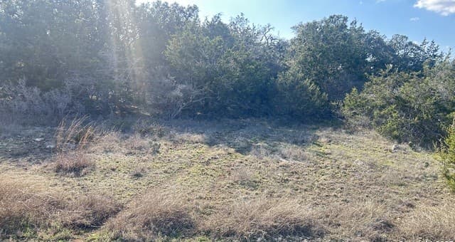 rental at 102 S John Bird in Blanco, TX — photo 2