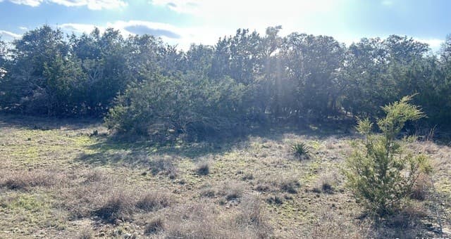 rental at 102 S John Bird in Blanco, TX — photo 3