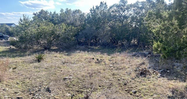 rental at 102 S John Bird in Blanco, TX — photo 4