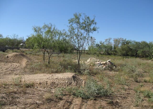 rental at 189 E Medium Meadow Drive in Lytle, TX — photo 3