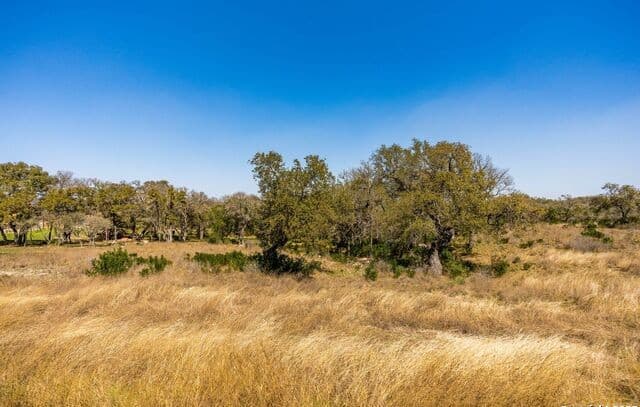 rental at LOT 62 Private Road 3702 in San Antonio, TX — photo 4