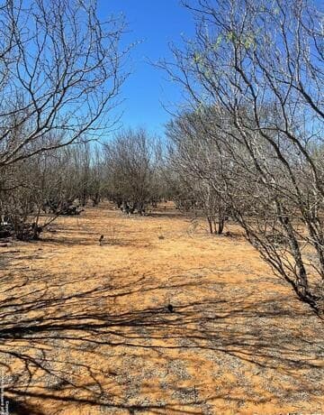 rental at 1010 Cr 308A in Jourdanton, TX — photo 5