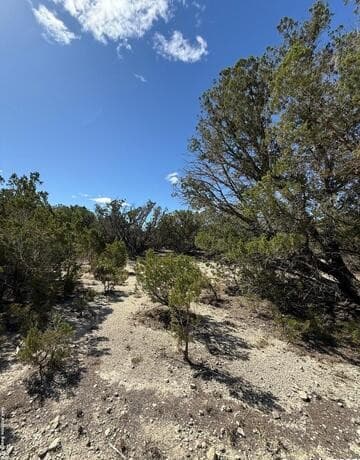 rental at 264 Cedar Hill Dr in Bandera, TX — photo 1