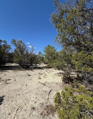 rental at 264 Cedar Hill Dr in Bandera, TX — photo 4