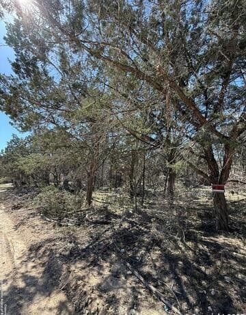rental at TBD Paladin in Bandera, TX — photo 2