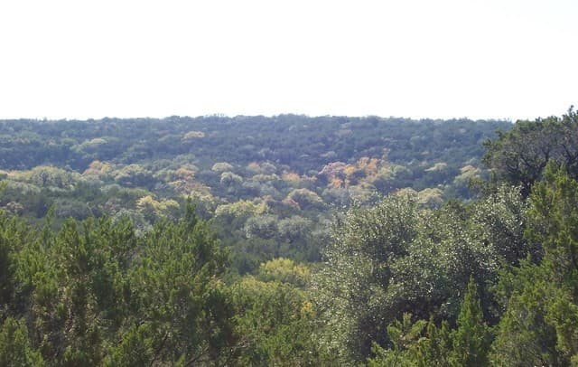 rental at 9715-10 Park Dr in Helotes, TX — photo 4