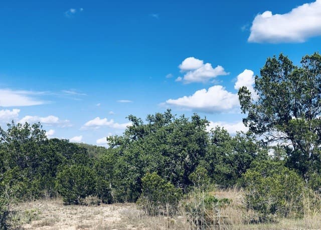 rental at 1020 Cliff Circle in Spring Branch, TX — photo 1