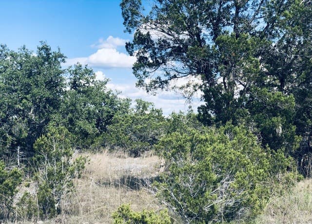 rental at 1020 Cliff Circle in Spring Branch, TX — photo 5