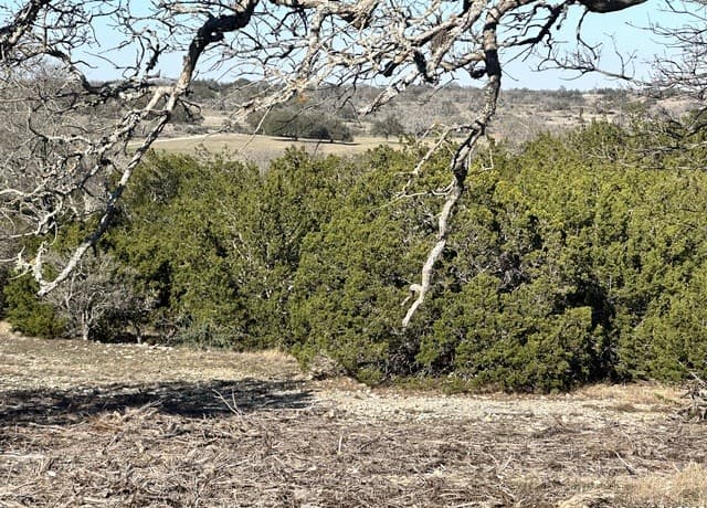 rental at TBD Oakwater Drive in Fredericksburg, TX — photo 5