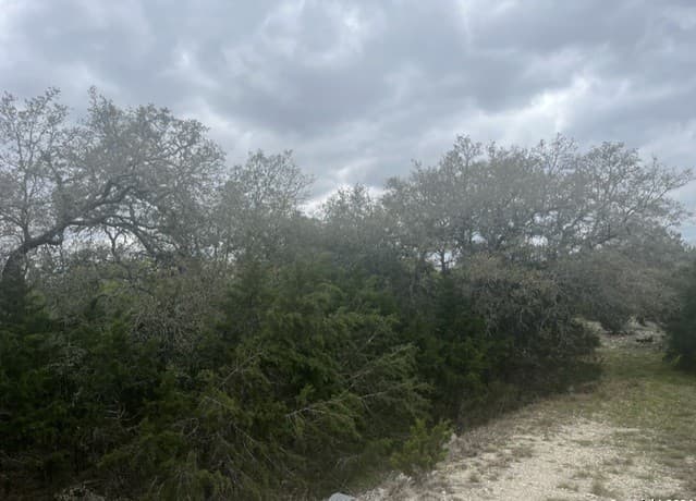 Home for sale at 192 Macaw Ln in Spring Branch, TX — photo 3
