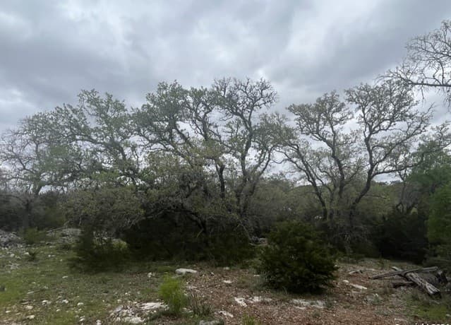 Home for sale at 192 Macaw Ln in Spring Branch, TX — photo 4