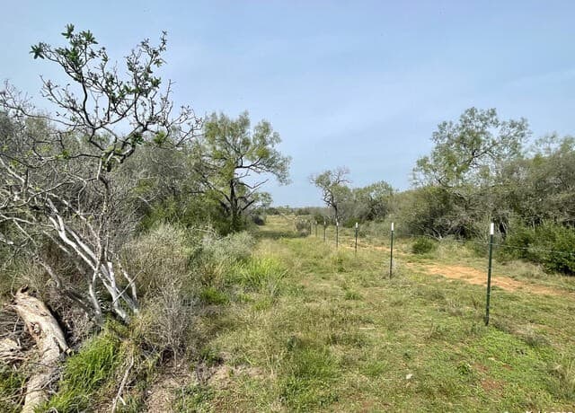 rental at 169 County Road 1670 in Moore, TX — photo 1