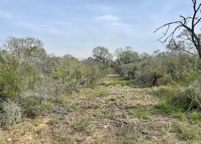 rental at 169 County Road 1670 in Moore, TX — photo 3