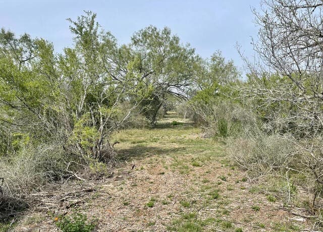 rental at 169 County Road 1670 in Moore, TX — photo 4