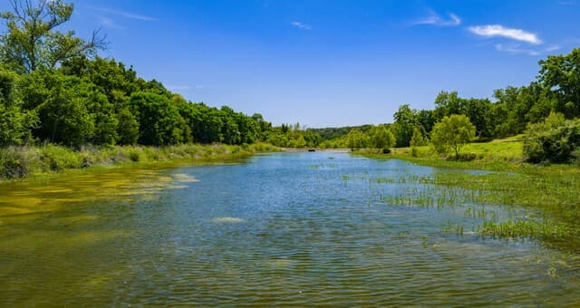 rental at TBD Lost Acres Loop in Blanco, TX — photo 5