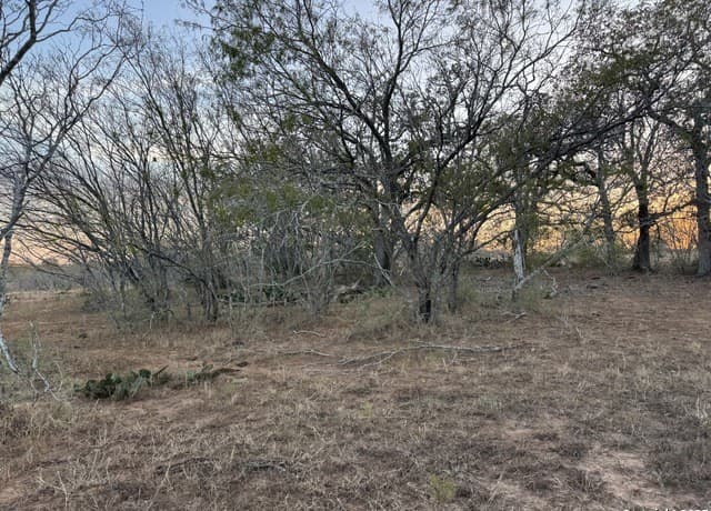 rental at TBD Fm 1681-Tract 3 in Stockdale, TX — photo 2