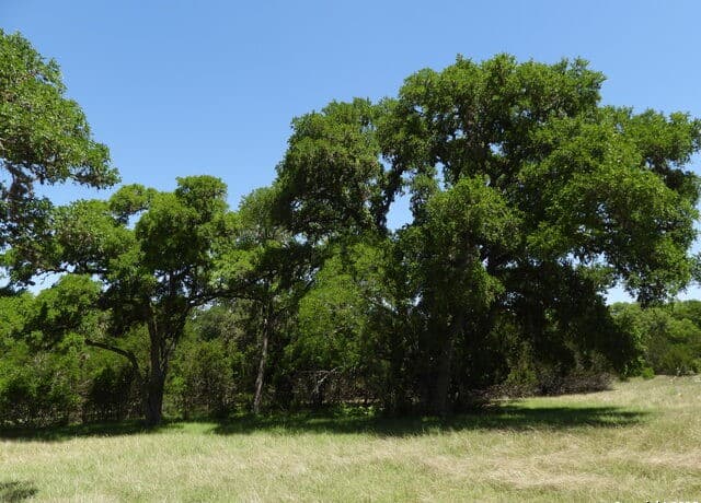 Home for sale at 772 Hager Rdg in Bandera, TX — photo 5