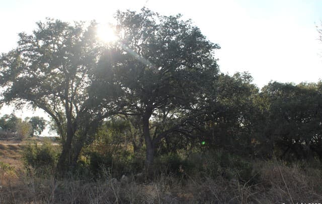 rental at 576 Private Road 3702 in San Antonio, TX — photo 4