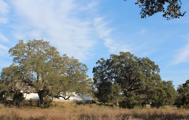 rental at 576 Private Road 3702 in San Antonio, TX — photo 5