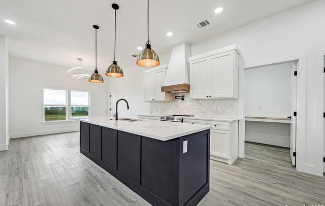 4-bedroom rental at 236 Peter Kleid Loop in Blanco, TX — photo 1