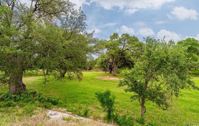 rental at 107 Nicholas Weeks in Blanco, TX — photo 2