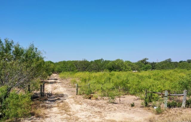 rental at 241 County Road 154 in Pleasanton, TX — photo 4