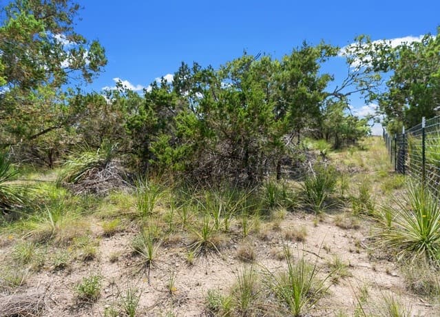 rental at 241 Restless Wind in Spring Branch, TX — photo 5