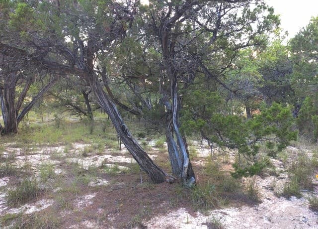 rental at TBD Whartons Dock Road in Bandera, TX — photo 5