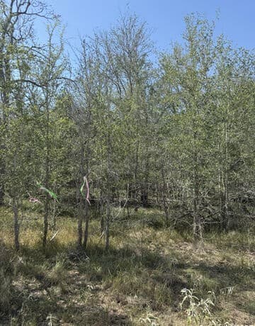 rental at 421 Kerr Ave in Sutherland Springs, TX — photo 1