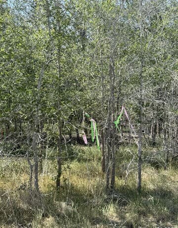 rental at 421 Kerr Ave in Sutherland Springs, TX — photo 2