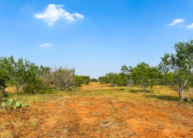 rental at 000 County Road 429 in Pleasanton, TX — photo 1