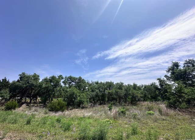 rental at 154 Vista View Pl in Spring Branch, TX — photo 1