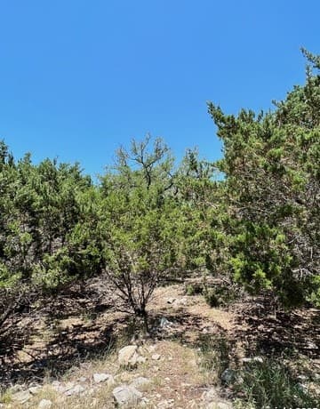 rental at 551 Ranch Vly in Boerne, TX — photo 3