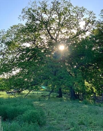 rental at LOT 94 Sabinas Ridge Road in Boerne, TX — photo 2
