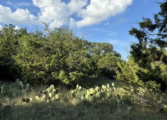 rental at LOT 10 Rocky Point Drive in Spring Branch, TX — photo 2