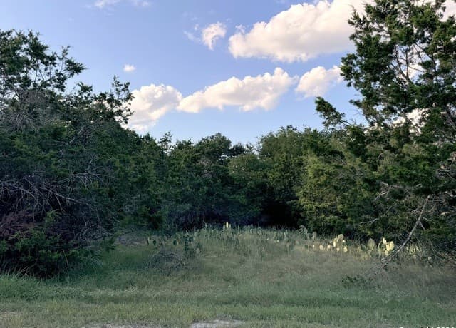 rental at LOT 10 Rocky Point Drive in Spring Branch, TX — photo 5