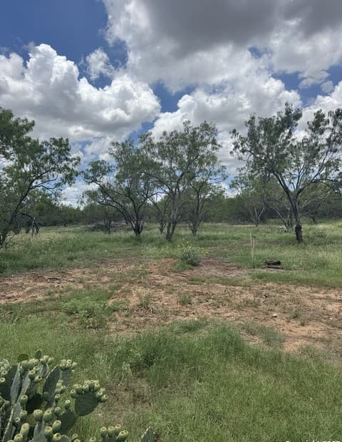 rental at LOT 53A Massad in Pleasanton, TX — photo 2