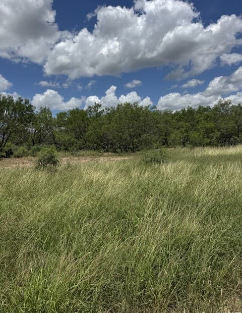 rental at LOT 53A Massad in Pleasanton, TX — photo 4