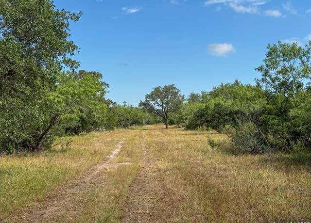 rental at 001 County Road 266 in Gillett, TX — photo 5