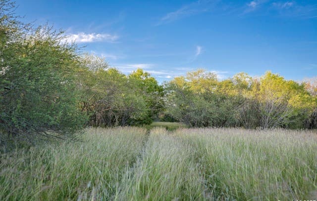 Home for sale at 6266 Highway 281 in Three Rivers, TX — photo 3