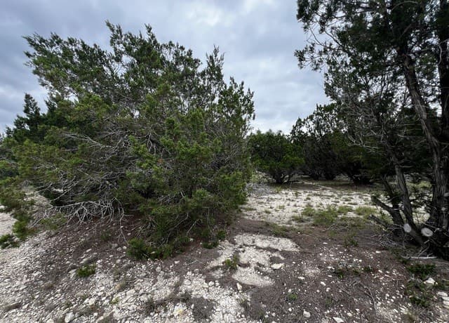 Home for sale at LOTS 108 & 109 Old Castroville in Bandera, TX — photo 2