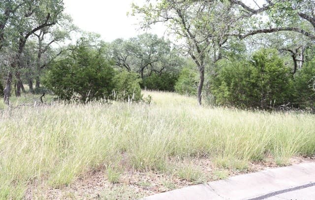 rental at 105 Sabella in Spring Branch, TX — photo 2