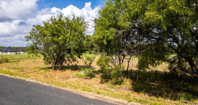rental at 21133 Toudouze Rd. in San Antonio, TX — photo 4
