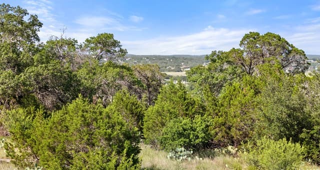 rental at 128 Enigma Avenue in Spring Branch, TX — photo 2