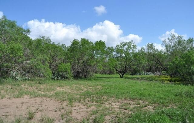 rental at TBD Cr 662 in Devine, TX — photo 4
