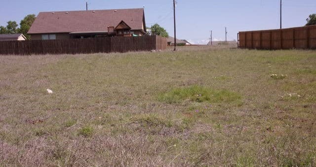 rental at 112 Hiram Cook in Blanco, TX — photo 2