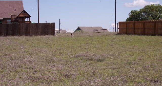 rental at 112 Hiram Cook in Blanco, TX — photo 5